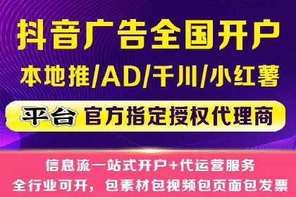 百度竞价推广运营实战技巧与经典案例剖析
